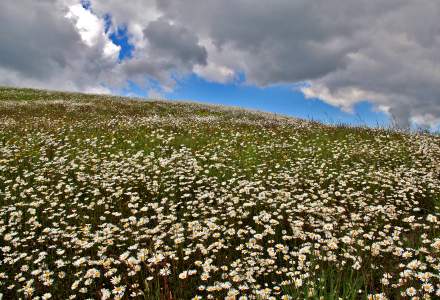 Wiosenne klimaty