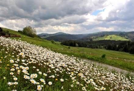 Wiosenne klimaty