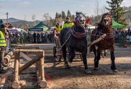 Zawody Furmanów 2024