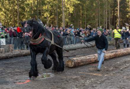 Zawody Furmanów 2024