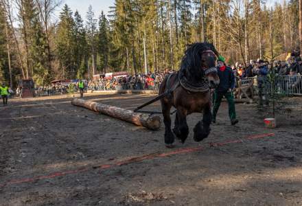 Zawody Furmanów 2024