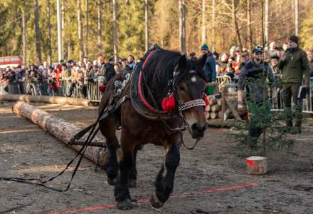 Zawody Furmanów 2024