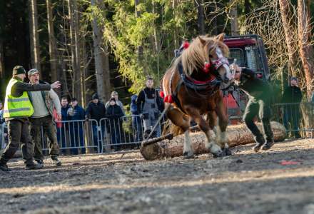 Zawody Furmanów 2024