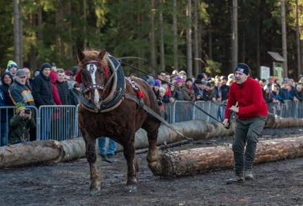 Zawody Furmanów 2024