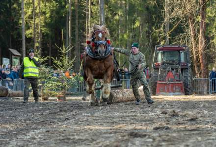 Zawody Furmanów 2024