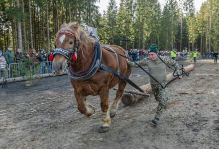 Zawody Furmanów 2024