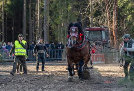 Zawody Furmanów 2024