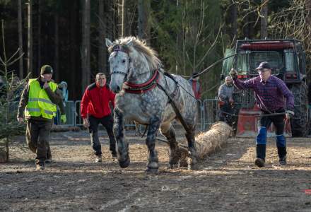 Zawody Furmanów 2024