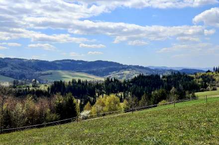 Widok z Durajewskigo