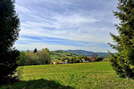 Widok z Brzestowego Gronia