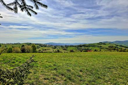 Widok z Brzestowego Gronia