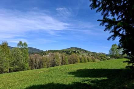 Widok z Brzestowego Gronia