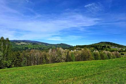 Widok z Brzestowego Gronia
