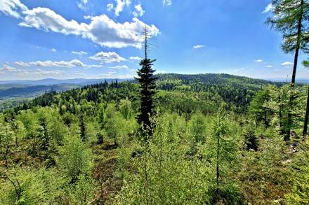 Widok z Gańczorki