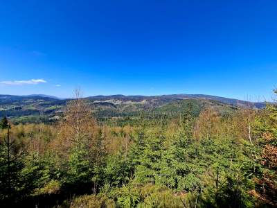 Widok z Tynioka