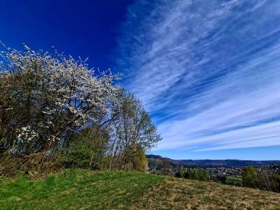 Widok z Babiej Górki