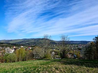 Widok z Babiej Górki