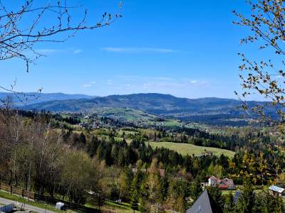 Widok z Koczego Zamku