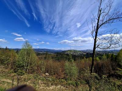 Widok na Żor