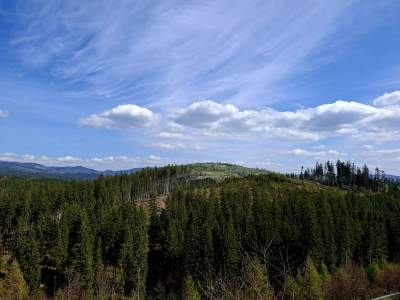 Widok na Żor