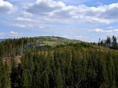 Widok na Żor