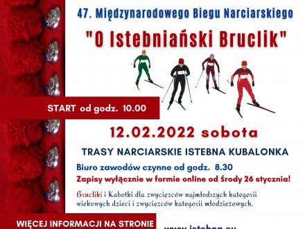 Plakat Zimowych Igrzysk Dzieci i Młodzieży