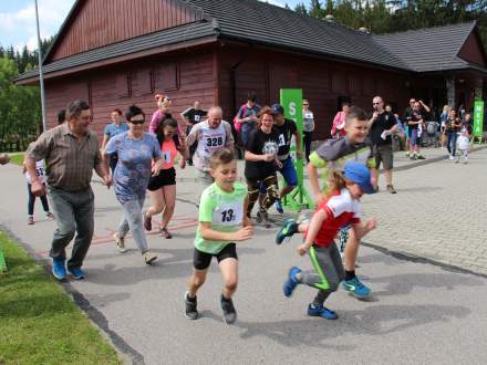 Festiwal Biegowy