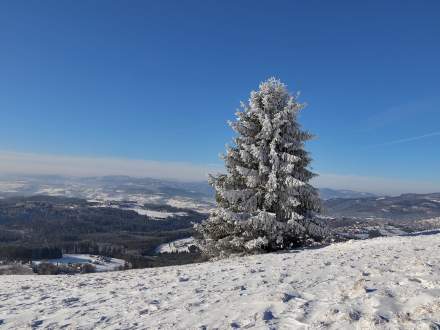 Zimowe klimaty