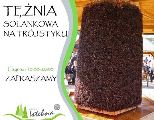 Grafika informacyjna dotycząca tężni solankowej na Trójstyku