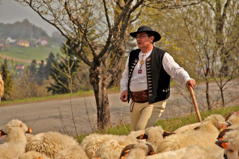 Piotr Kohut