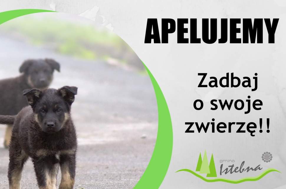 Grafika informacyjna dotycząca prawidłowego utrzymania zwierząt