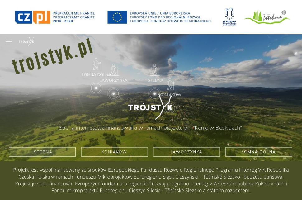 adres nowej strony www.trojstyk.pl